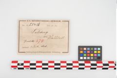 Foto von Bronzeschaftlappenbeil (NHMW-PRAE-025456)